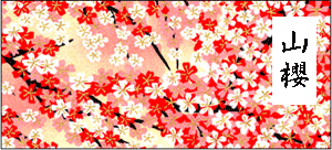 山桜
